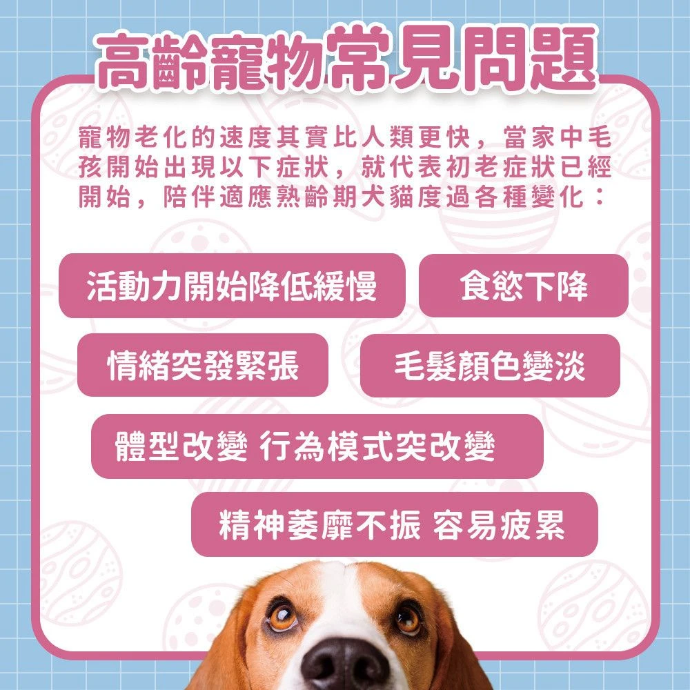 熟齡高齡狗狗貓咪活動量食慾毛髮體態與日常狀態觀察說明