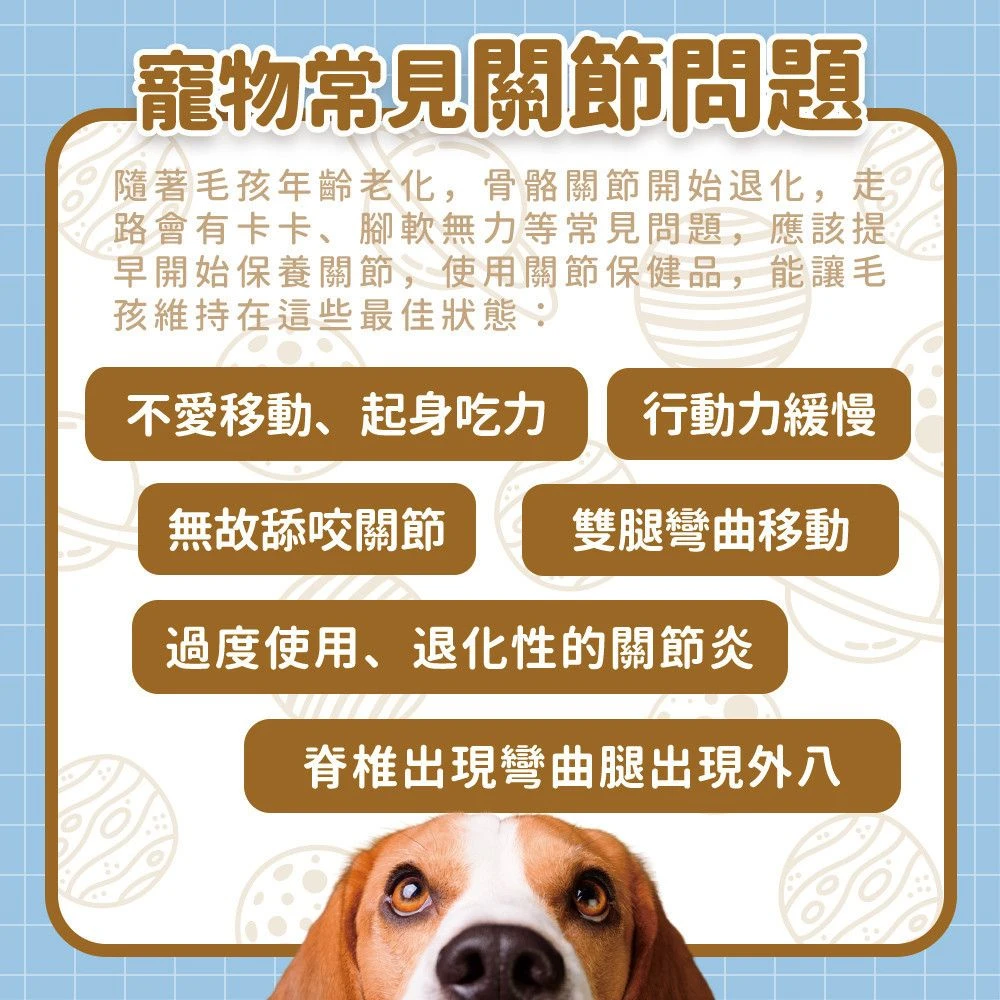 狗狗貓咪常見關節與行動力狀態起身移動步態日常觀察說明