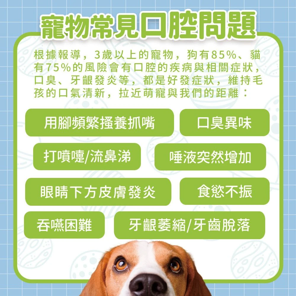 狗狗貓咪常見口腔狀況口氣異味牙齦與進食問題說明