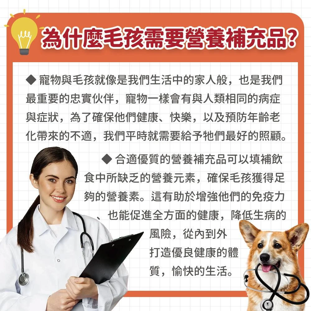 狗狗貓咪為什麼需要日常營養補充品犬貓健康照護說明
