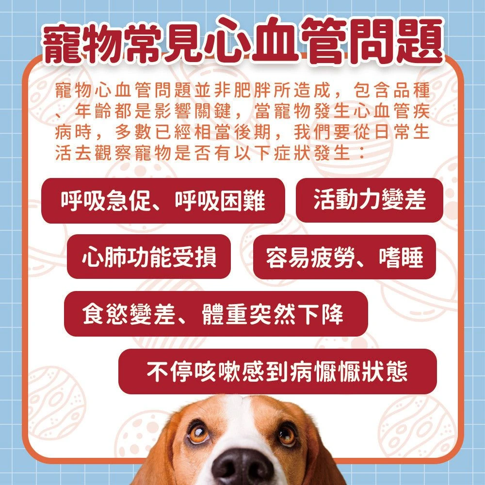 狗狗貓咪常見心血管健康狀態活動力呼吸食慾與日常觀察說明