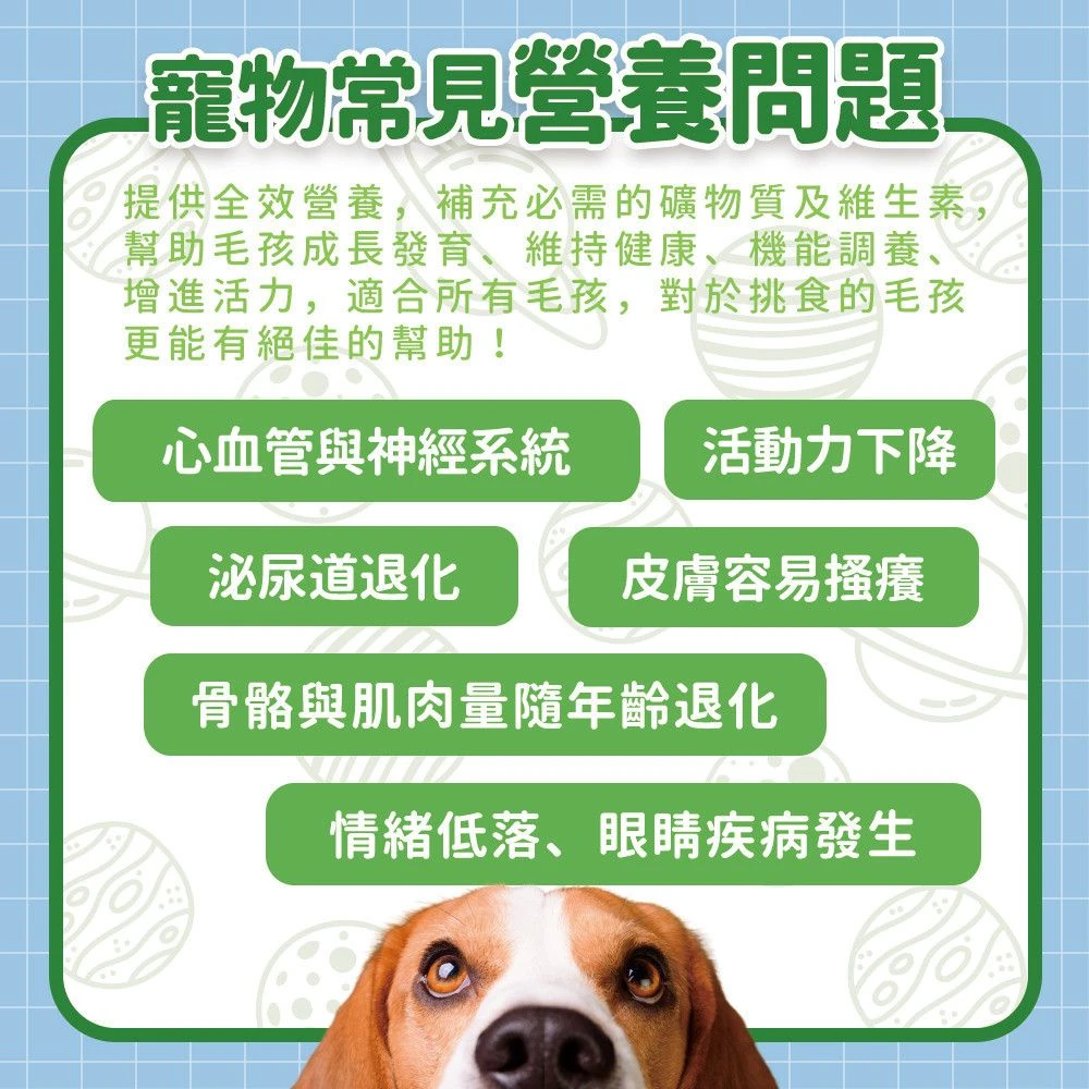 狗狗常見日常營養需求活動力皮膚骨骼與熟齡營養補充說明