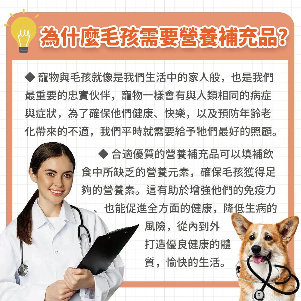 狗狗貓咪為什麼需要日常營養補充品犬貓健康照護說明