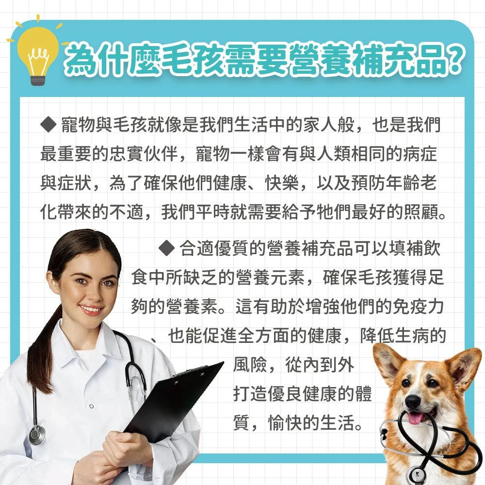 狗狗貓咪為什麼需要日常營養補充品犬貓健康照護說明