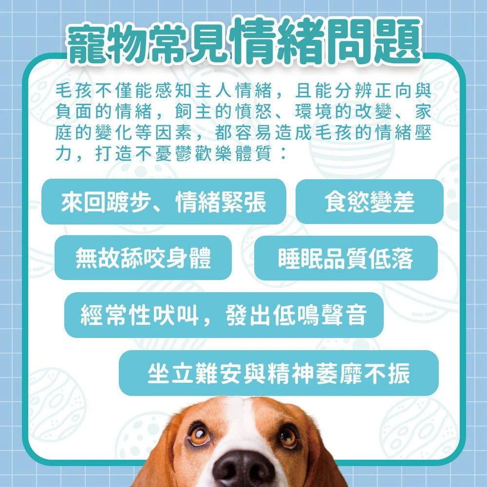 狗狗貓咪常見日常情緒與行為狀態資訊圖