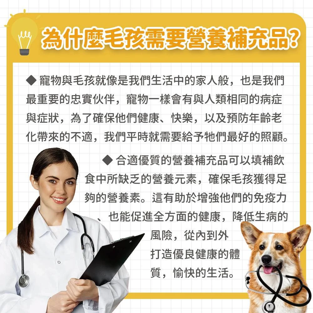 狗狗貓咪日常營養補充需求說明