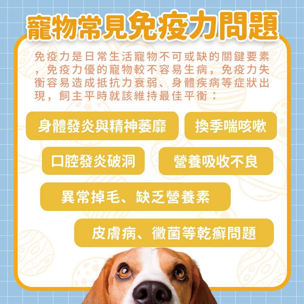 狗狗貓咪日常健康與營養補充需求