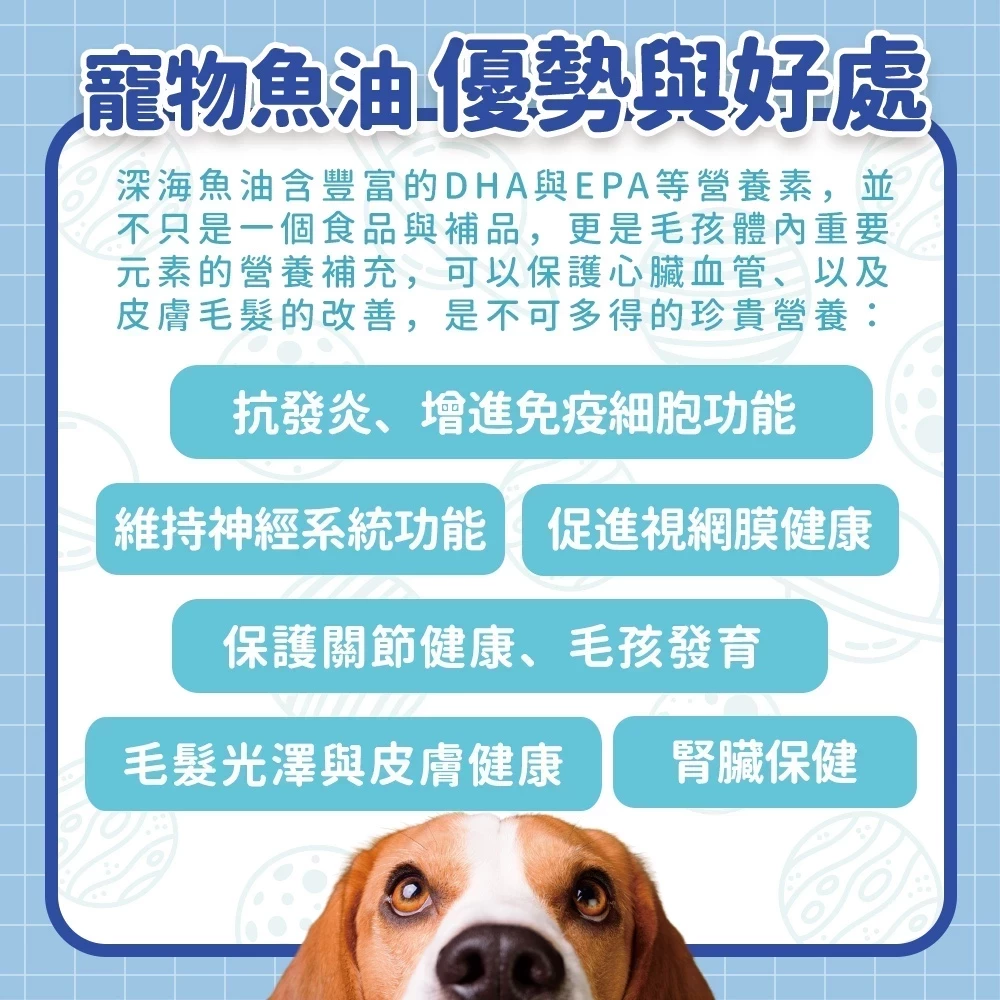 犬貓深海魚油Omega-3 EPA DHA營養補充介紹