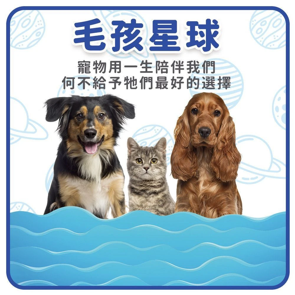毛孩星球犬貓高純度深海魚油狗狗貓咪保健食品
