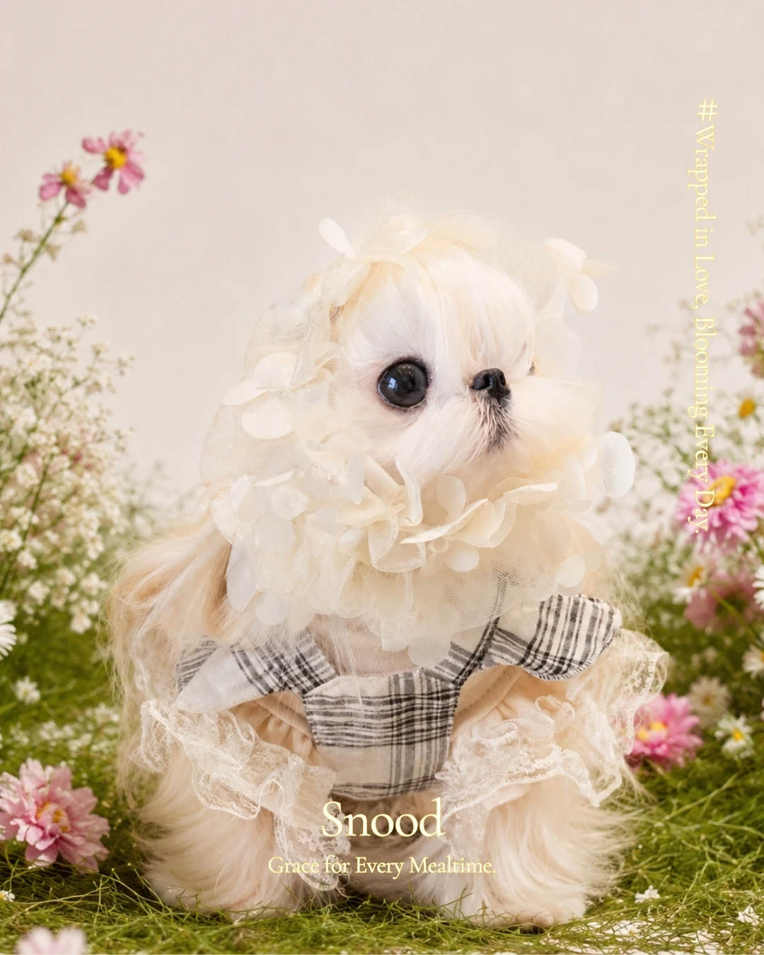 寵物耳套Snood｜花園精靈珍珠花精｜長毛貓狗共用