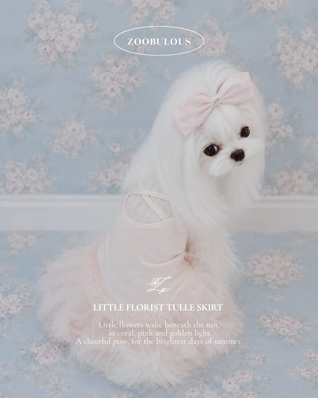 白色狗狗穿著Zoobulous Little Florist小小花藝師澎澎裙穿搭展示