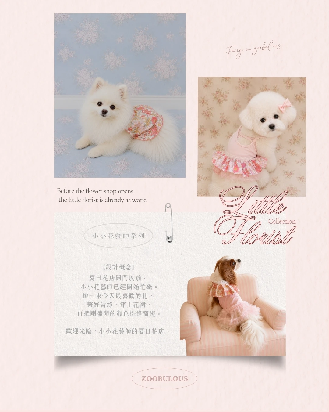 Zoobulous Little Florist小小花藝師寵物碎花系列設計概念與狗狗穿搭