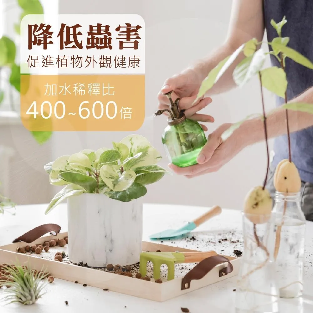 【森物良醋】 金醋益 500ml