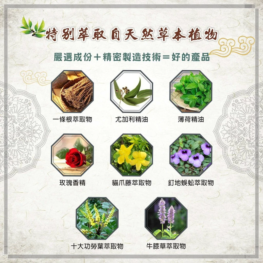 一條根精油貼布-10片