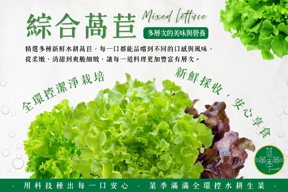 【菜季滿滿】綜合萵苣240克（袋裝）