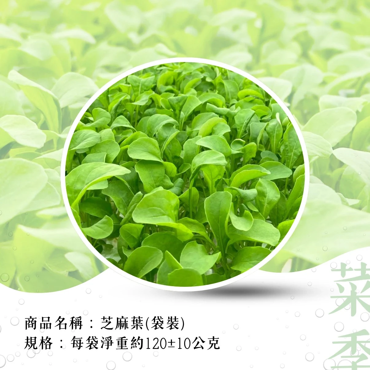【菜季滿滿】芝麻葉120克（袋裝）