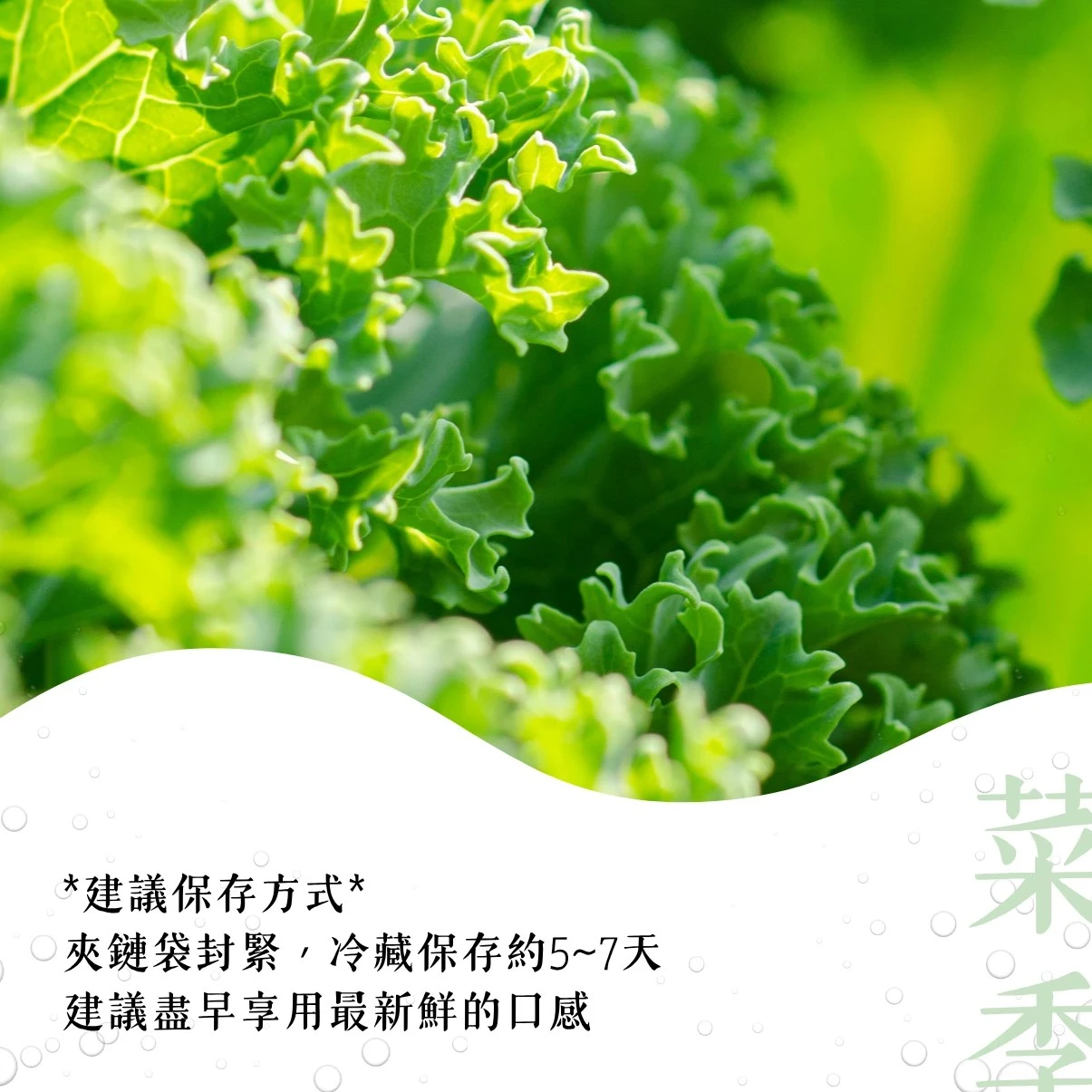 【菜季滿滿】羽衣甘藍120克（袋裝）