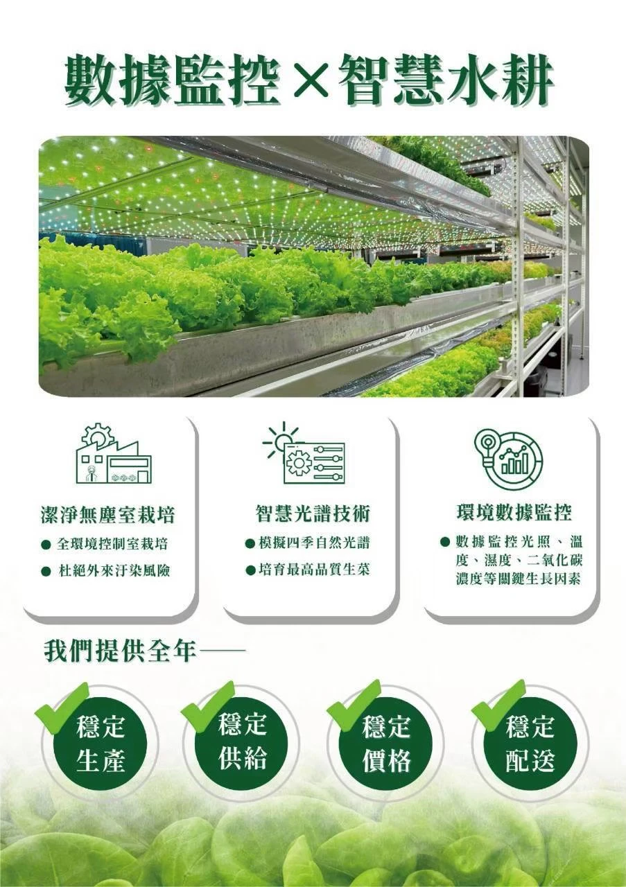 【菜季滿滿】綜合萵苣170克（袋裝）