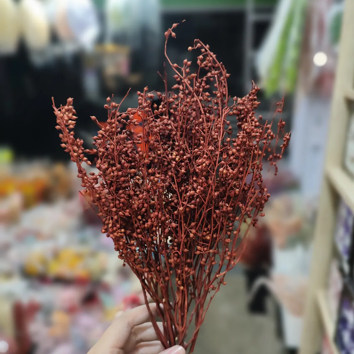 永生小米果 尤加利果實