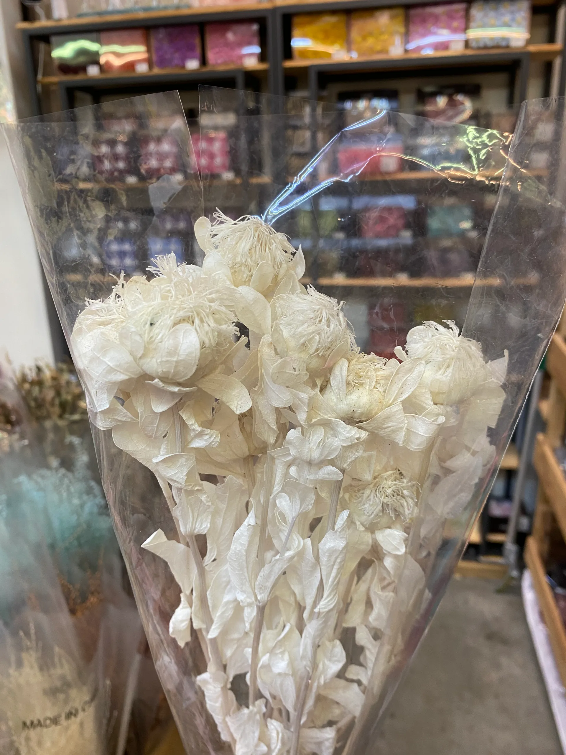 永生橙菠蘿