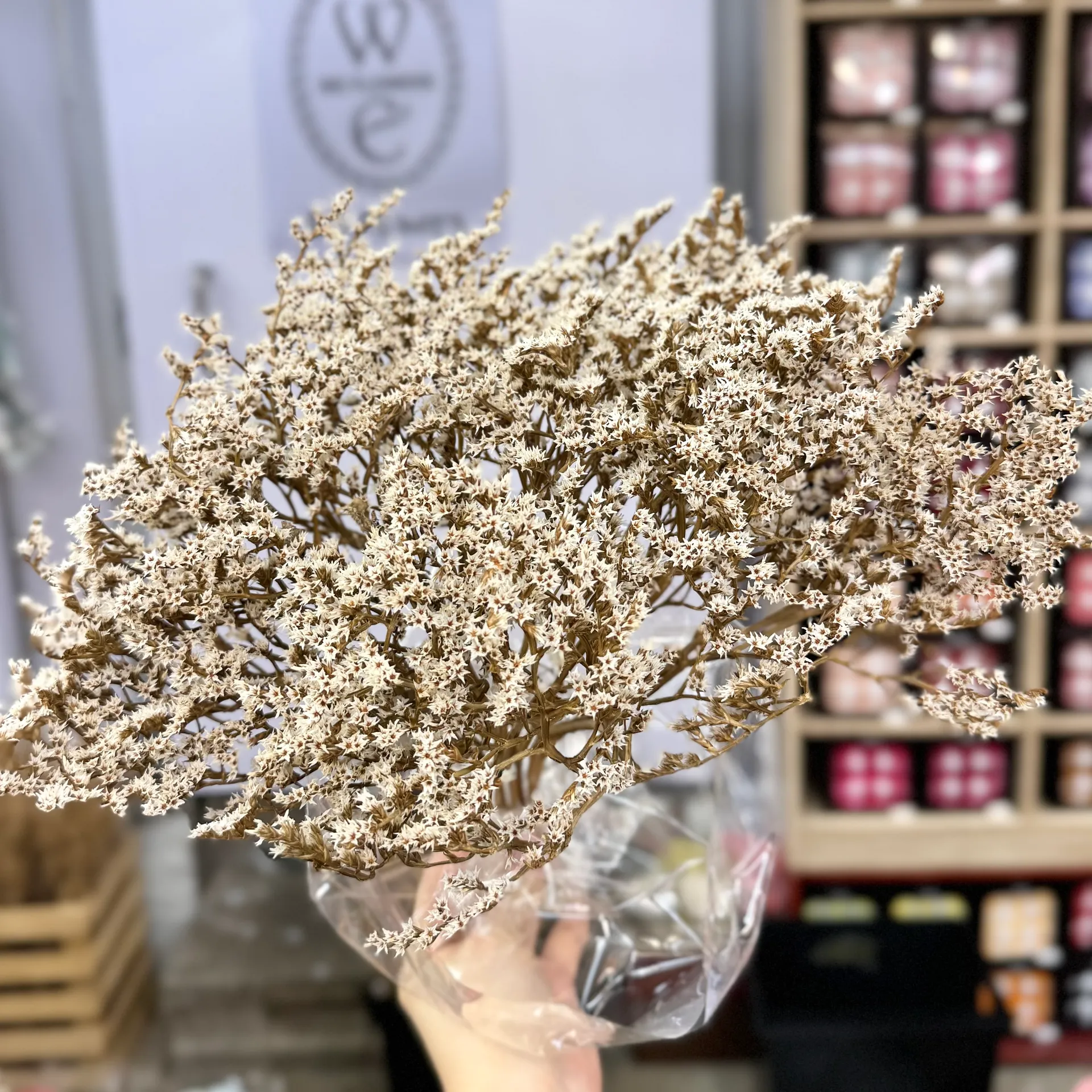 歐洲乾燥雪花