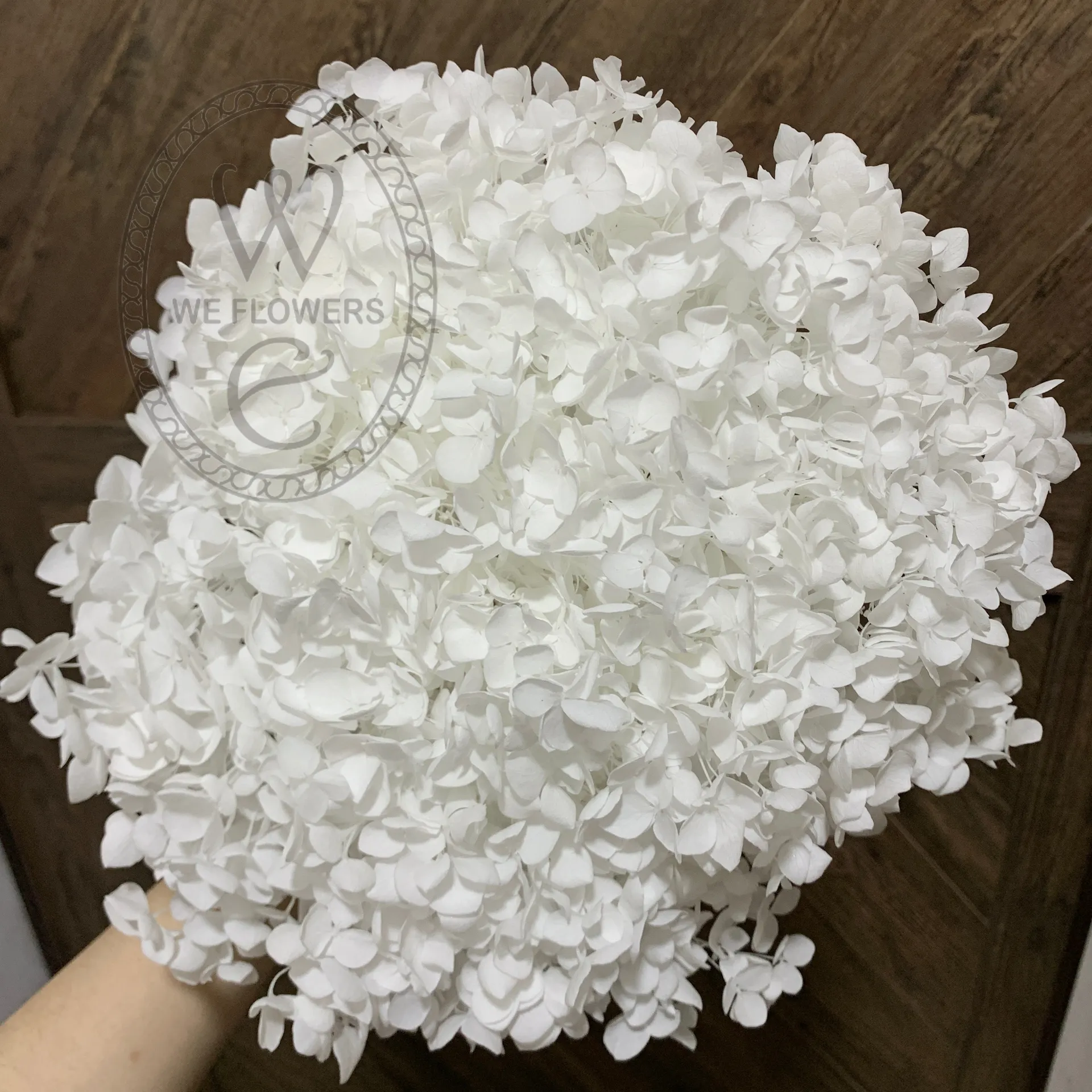 永生繡球 小包