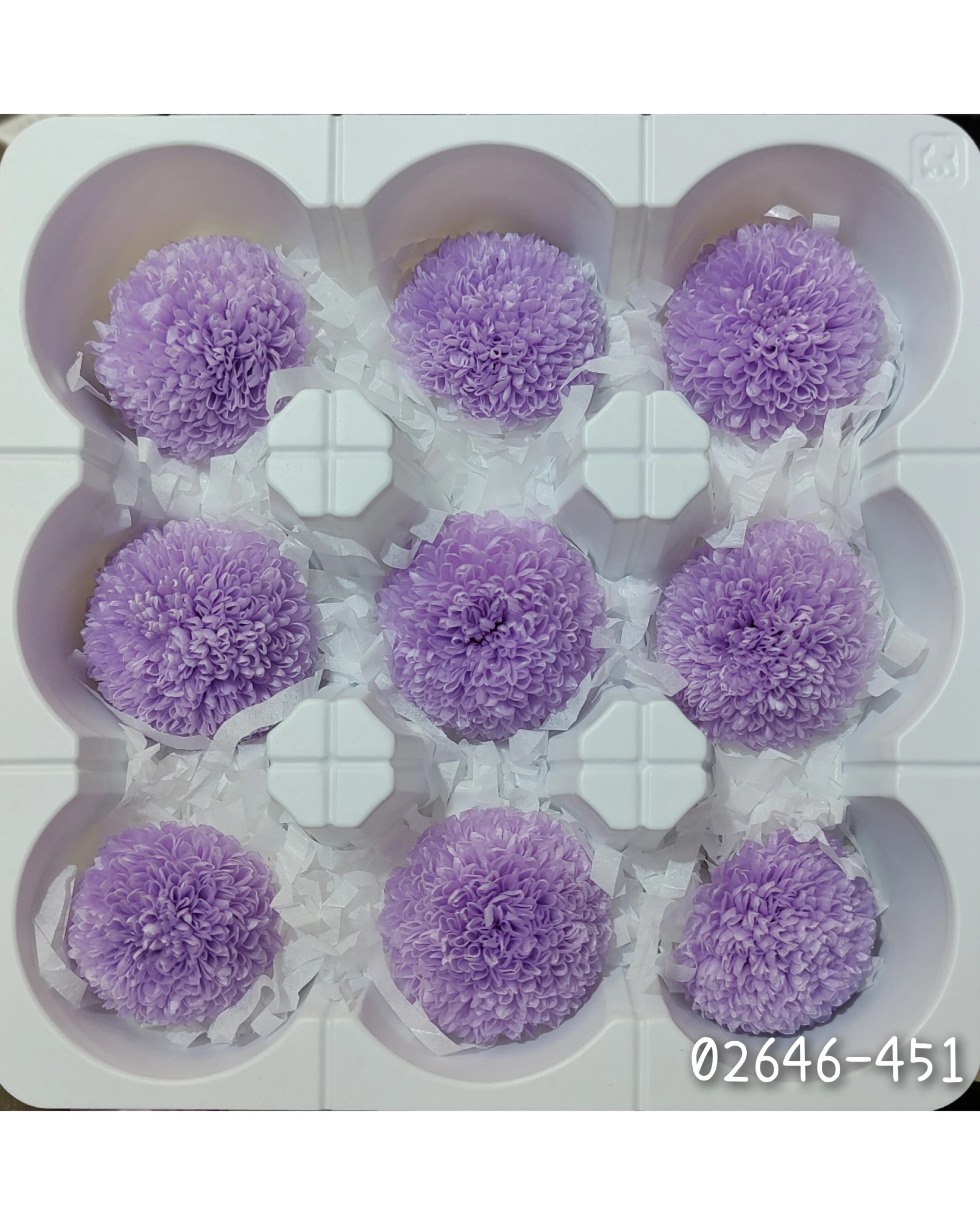 日本大地農園 乒乓菊