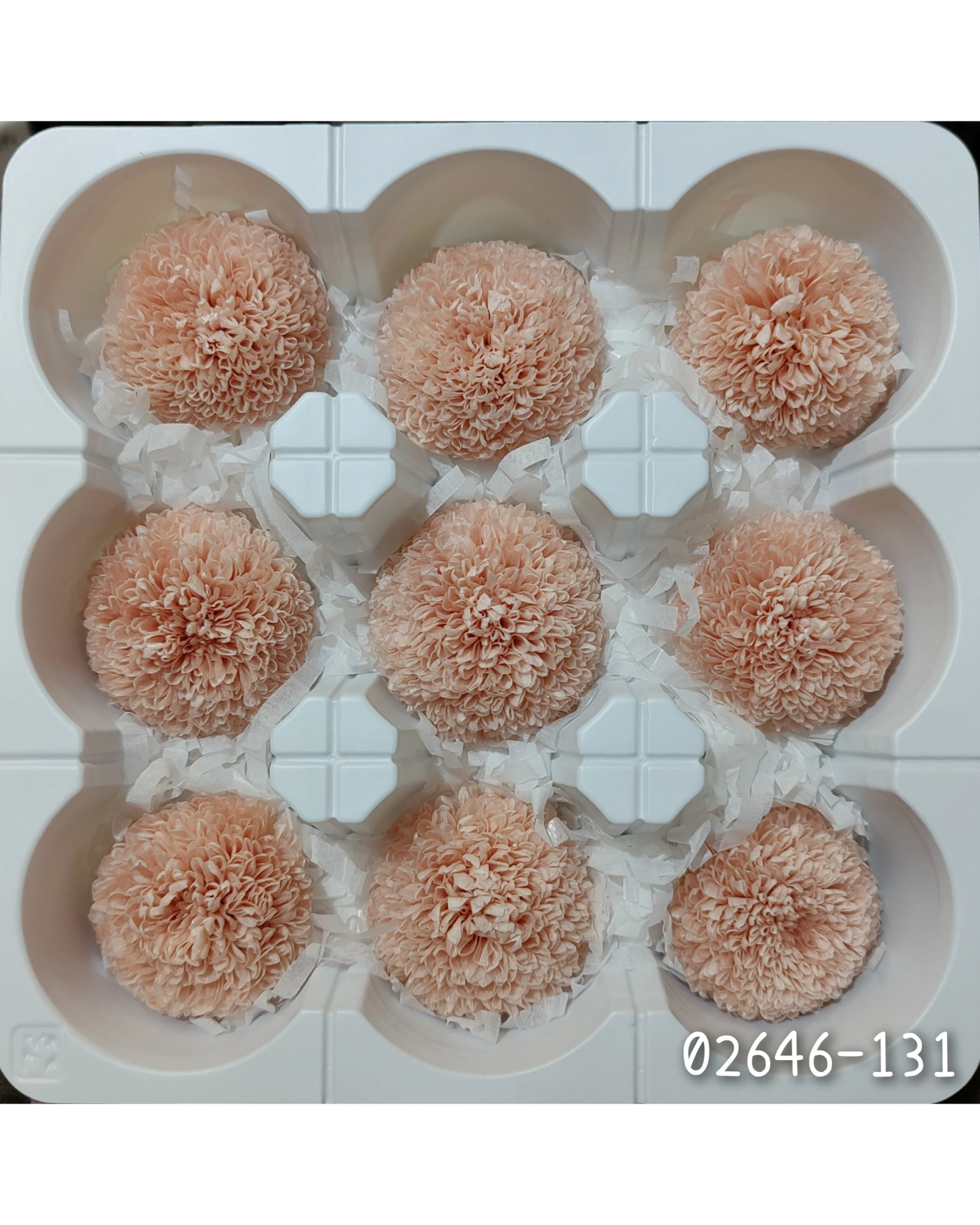 日本大地農園 乒乓菊