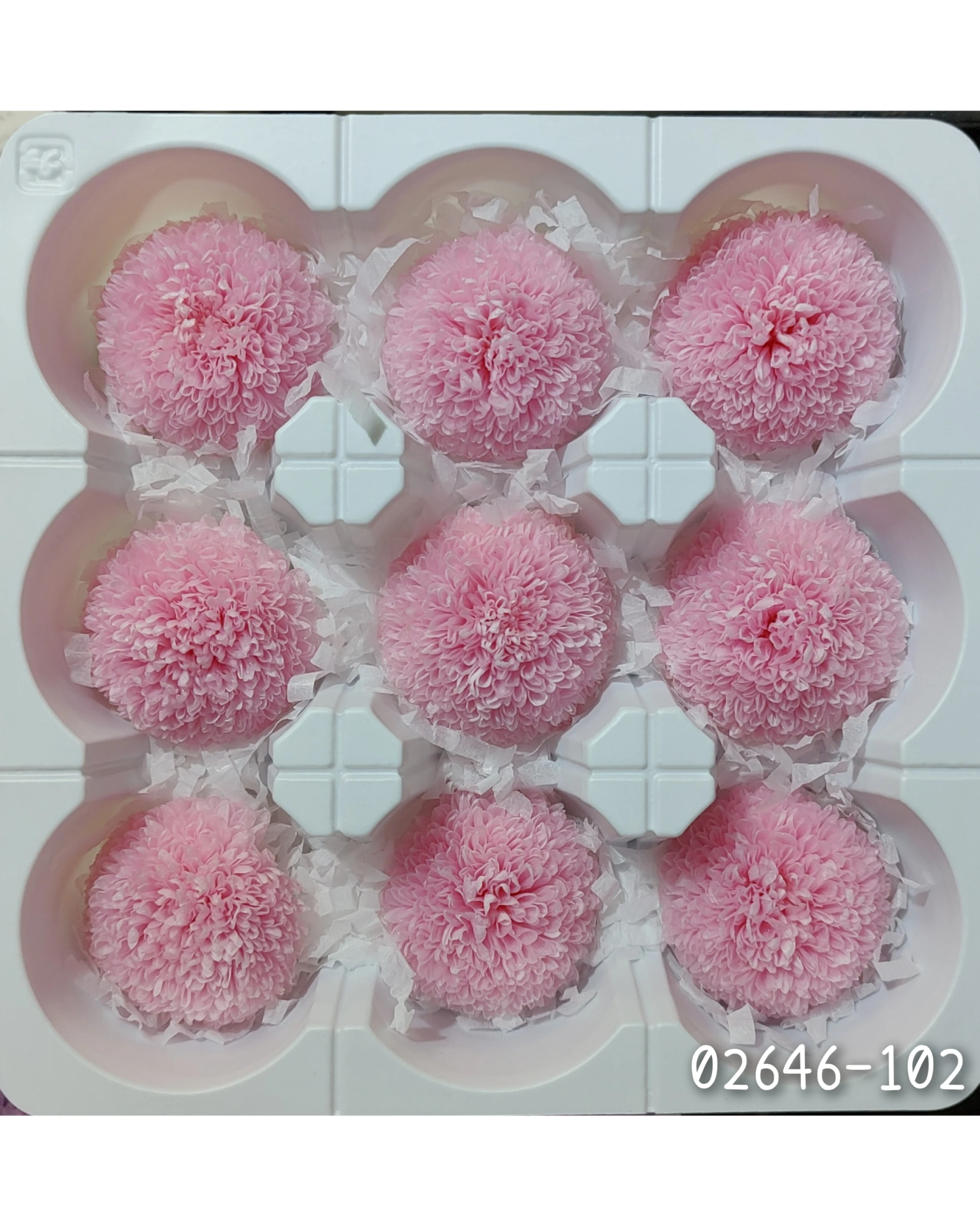 日本大地農園 乒乓菊