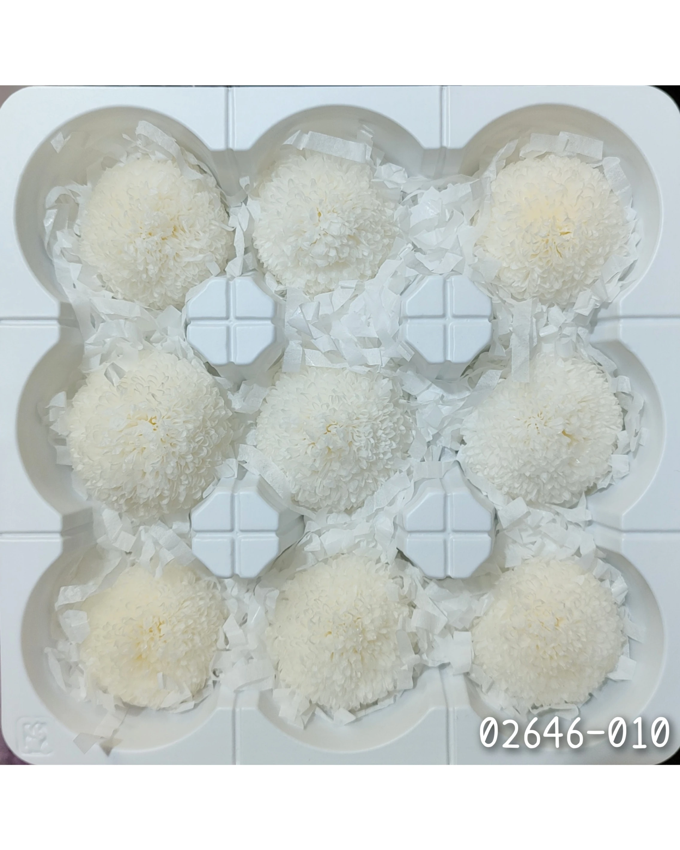日本大地農園 乒乓菊