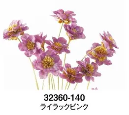 日本大地農園 手工銀蓮花