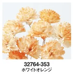 日本大地農園 索拉康乃馨