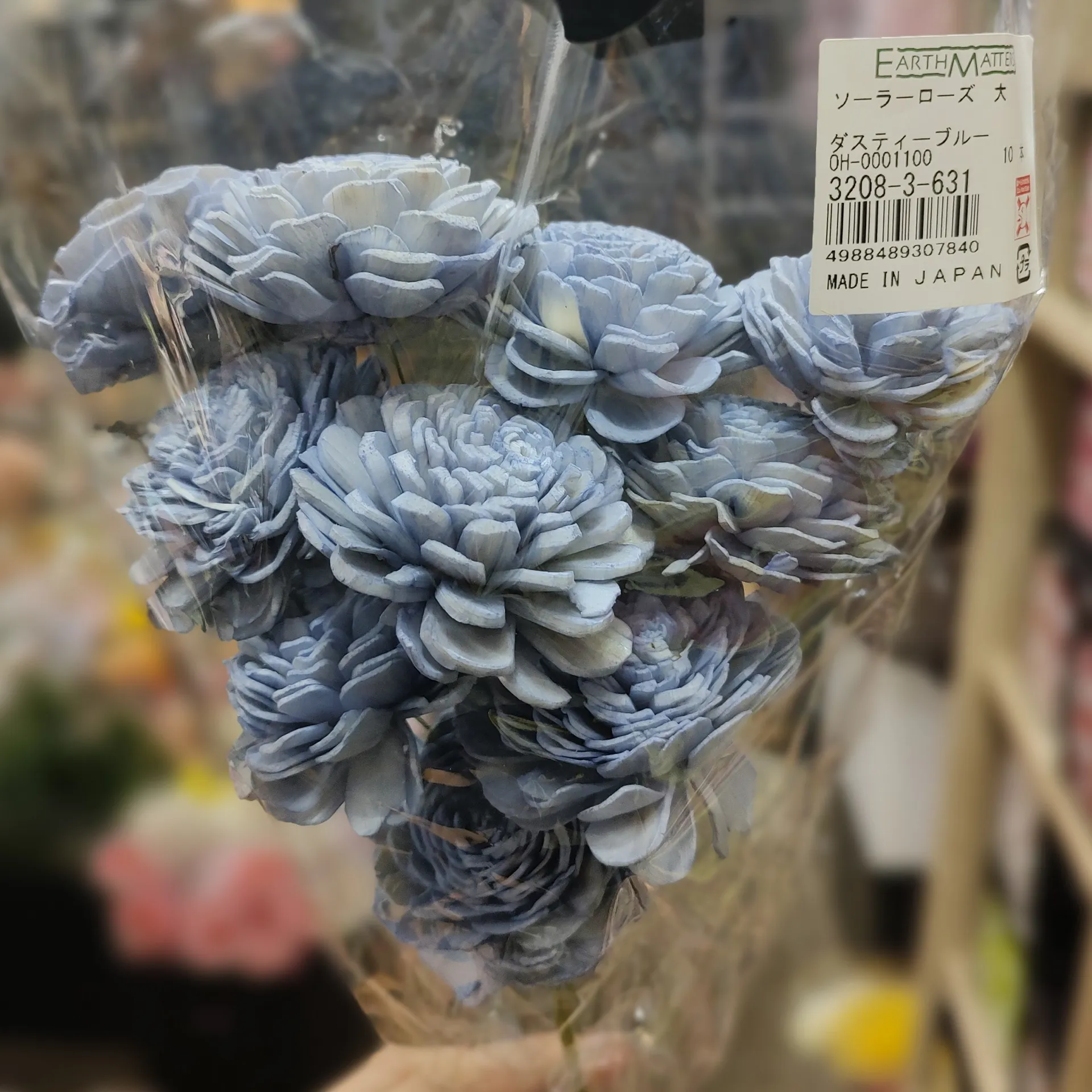 日本大地農園 索拉貝莉玫瑰 大 太陽玫瑰