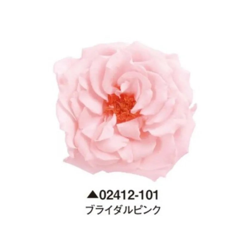 日本大地農園 瑪麗安娜玫瑰 薔薇