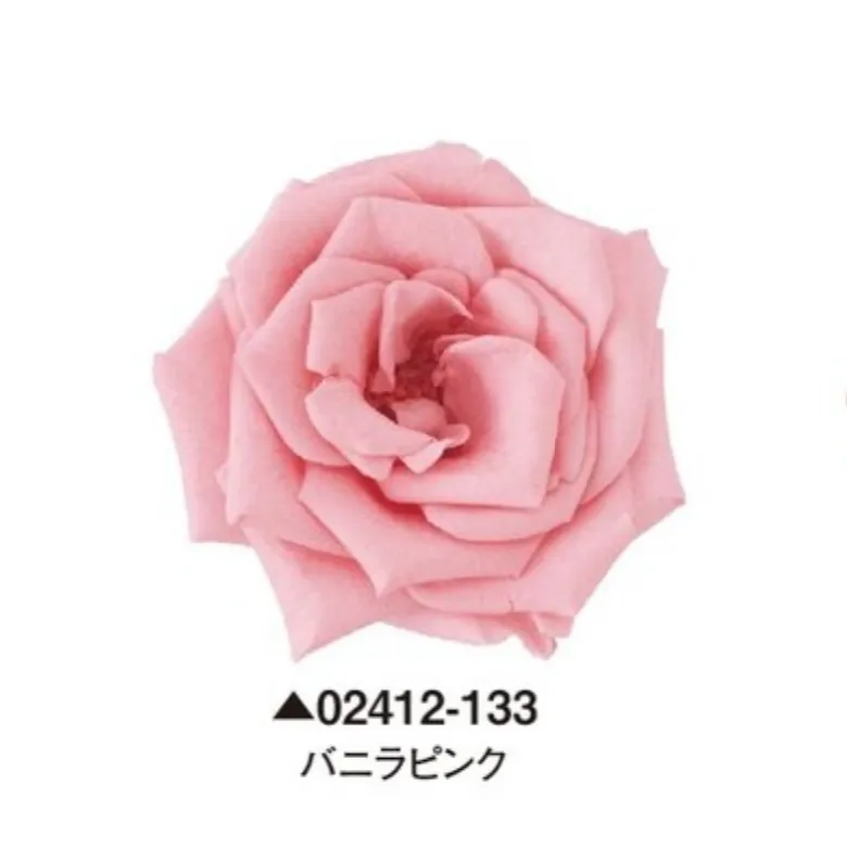 日本大地農園 瑪麗安娜玫瑰 薔薇