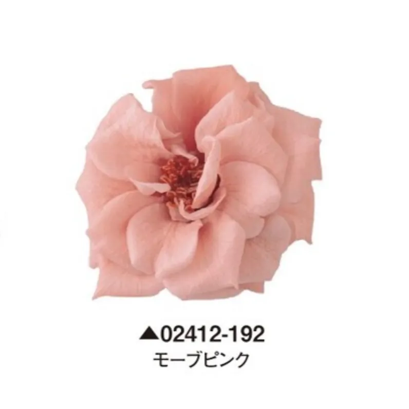 日本大地農園 瑪麗安娜玫瑰 薔薇