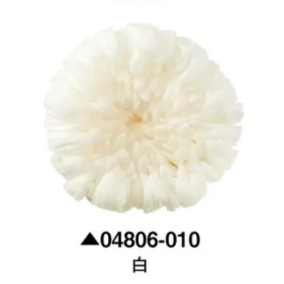 日本大地農園 輪菊