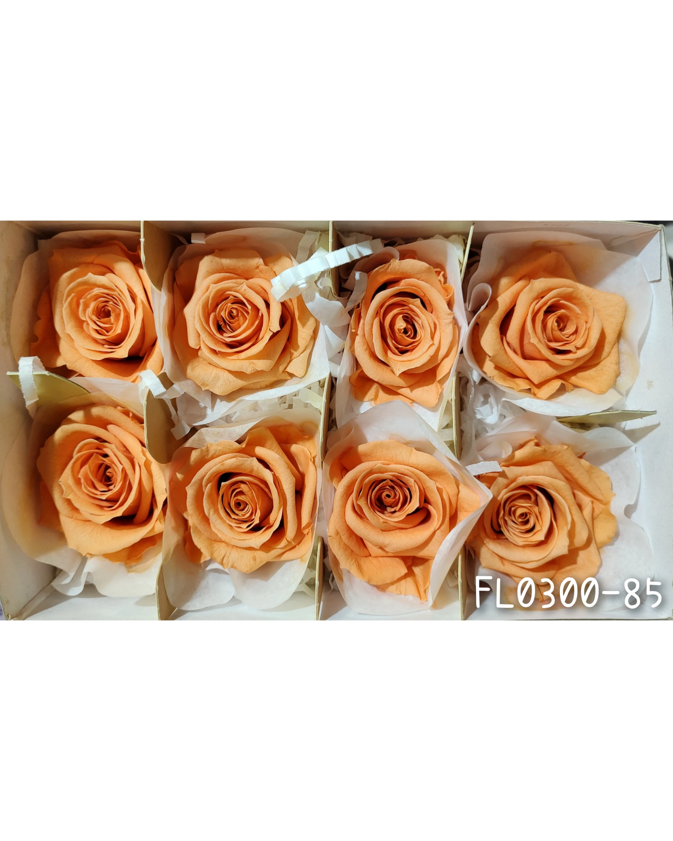 日本Florever 大玫瑰