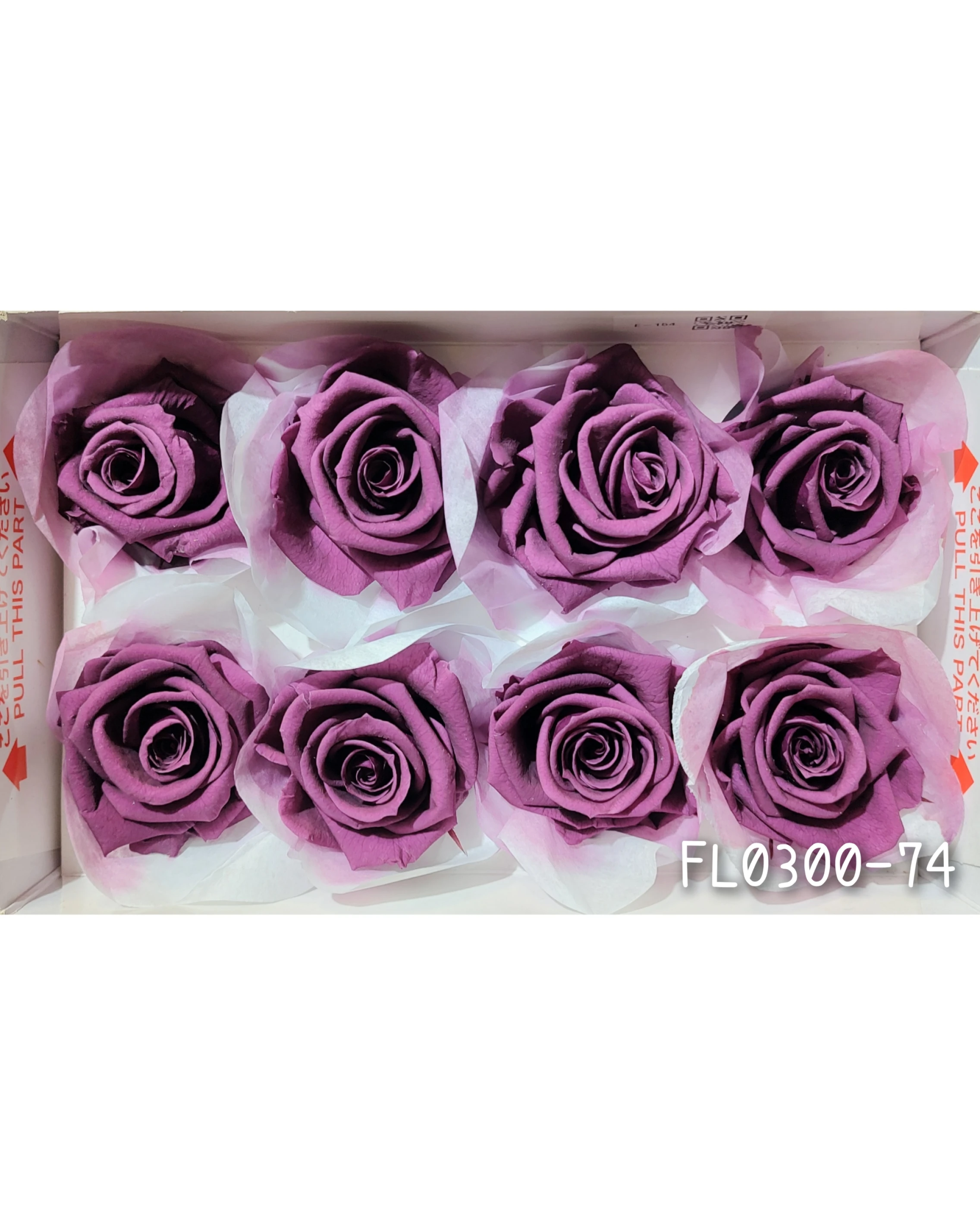 日本Florever 大玫瑰