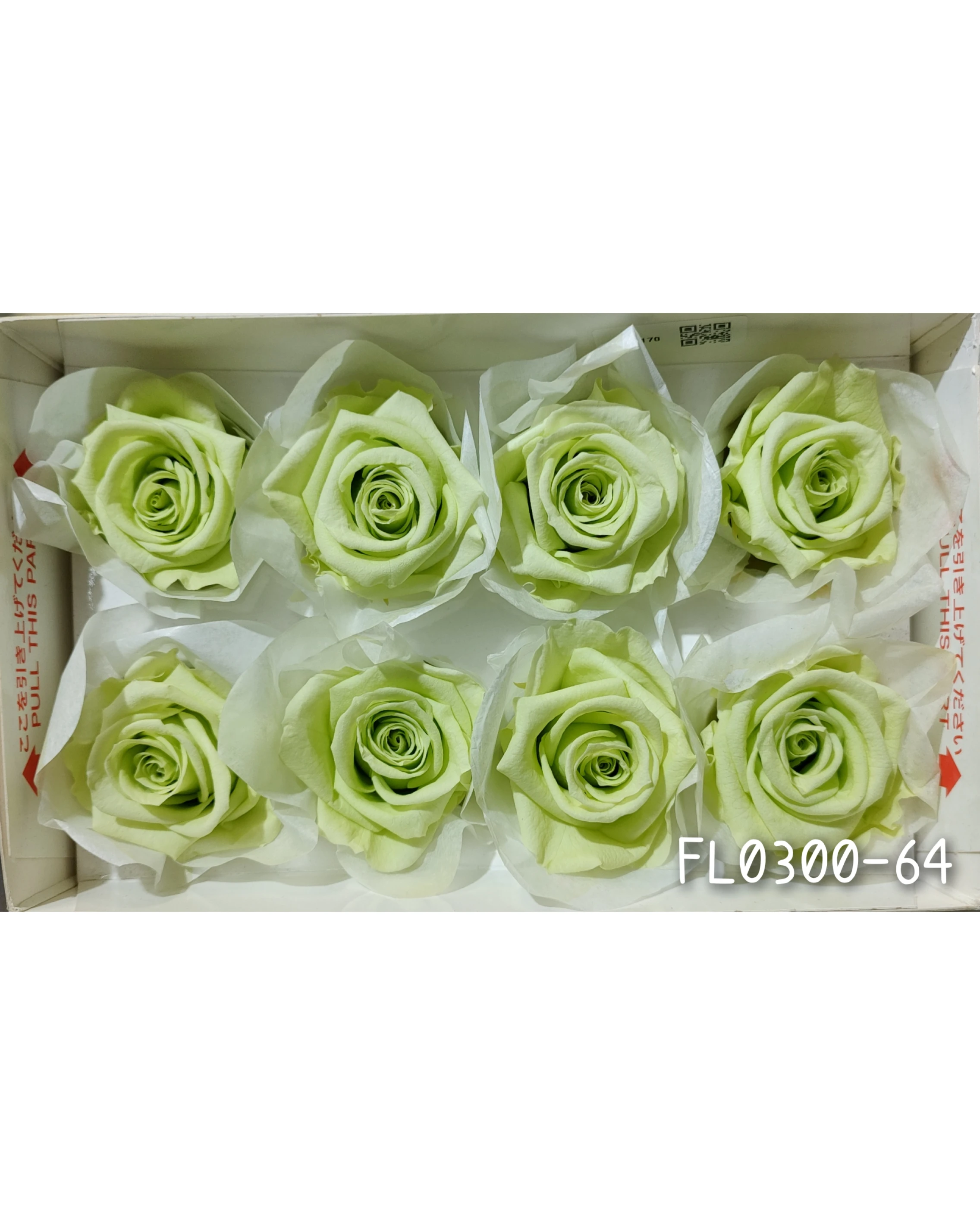 日本Florever 大玫瑰