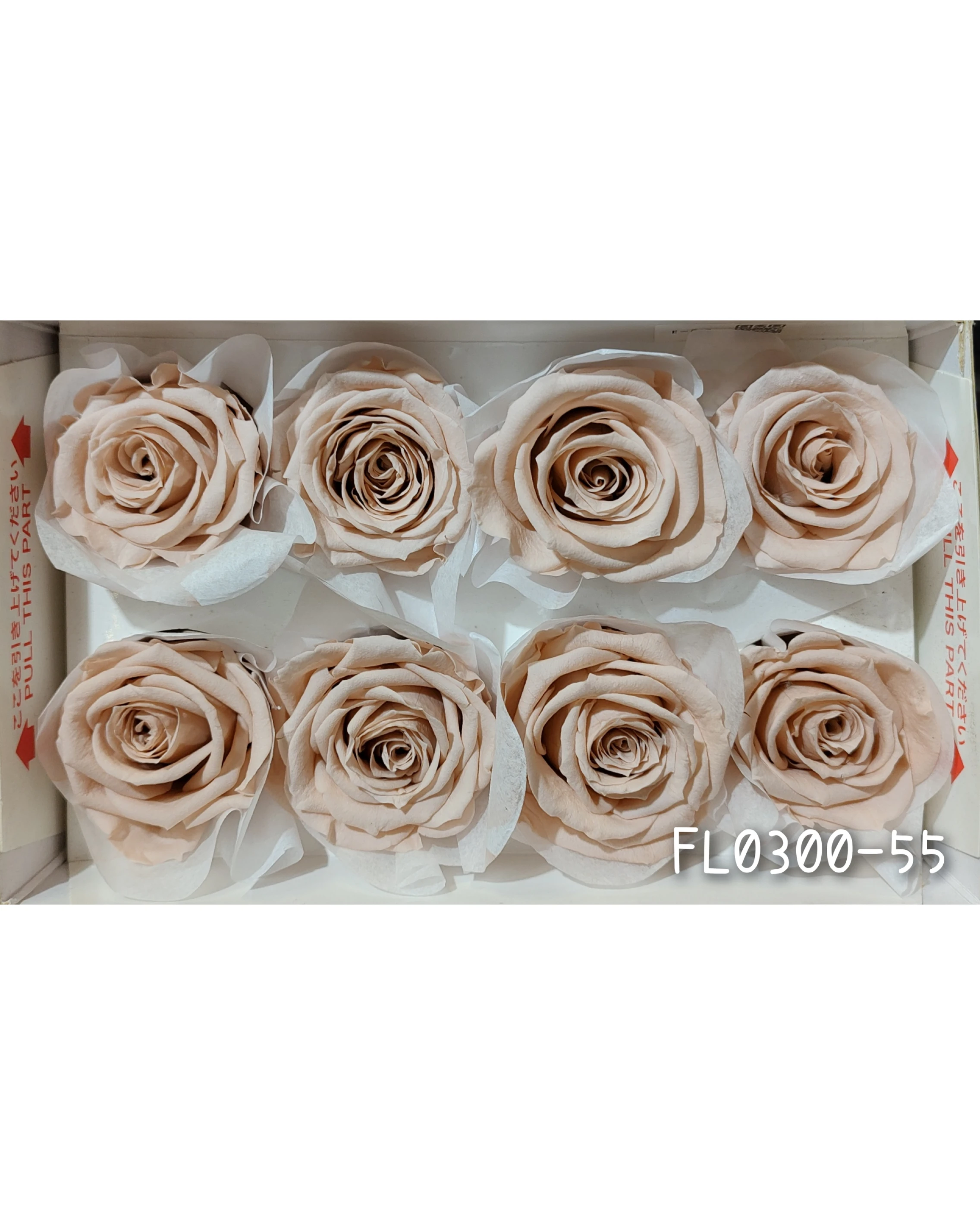 日本Florever 大玫瑰
