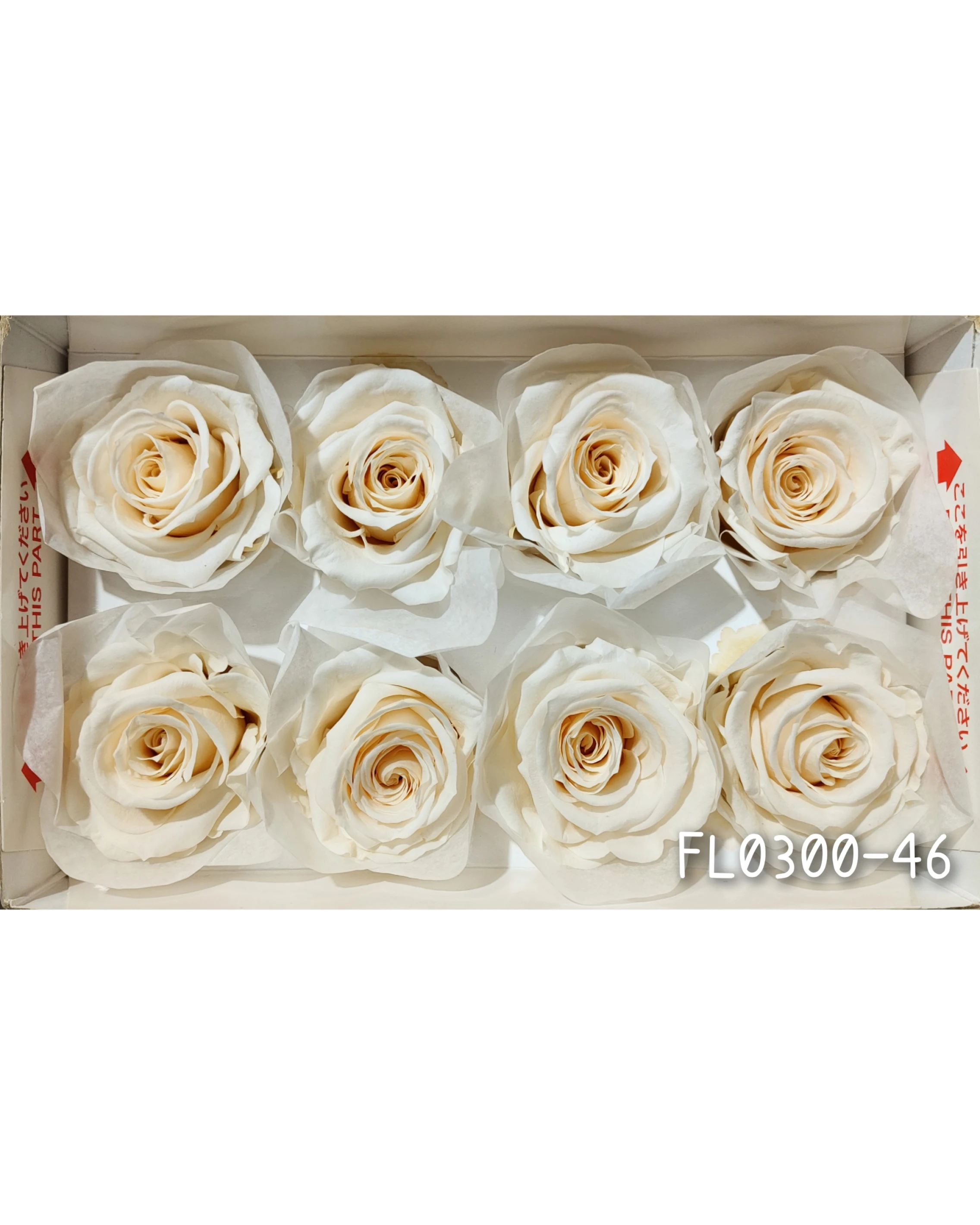 日本Florever 大玫瑰