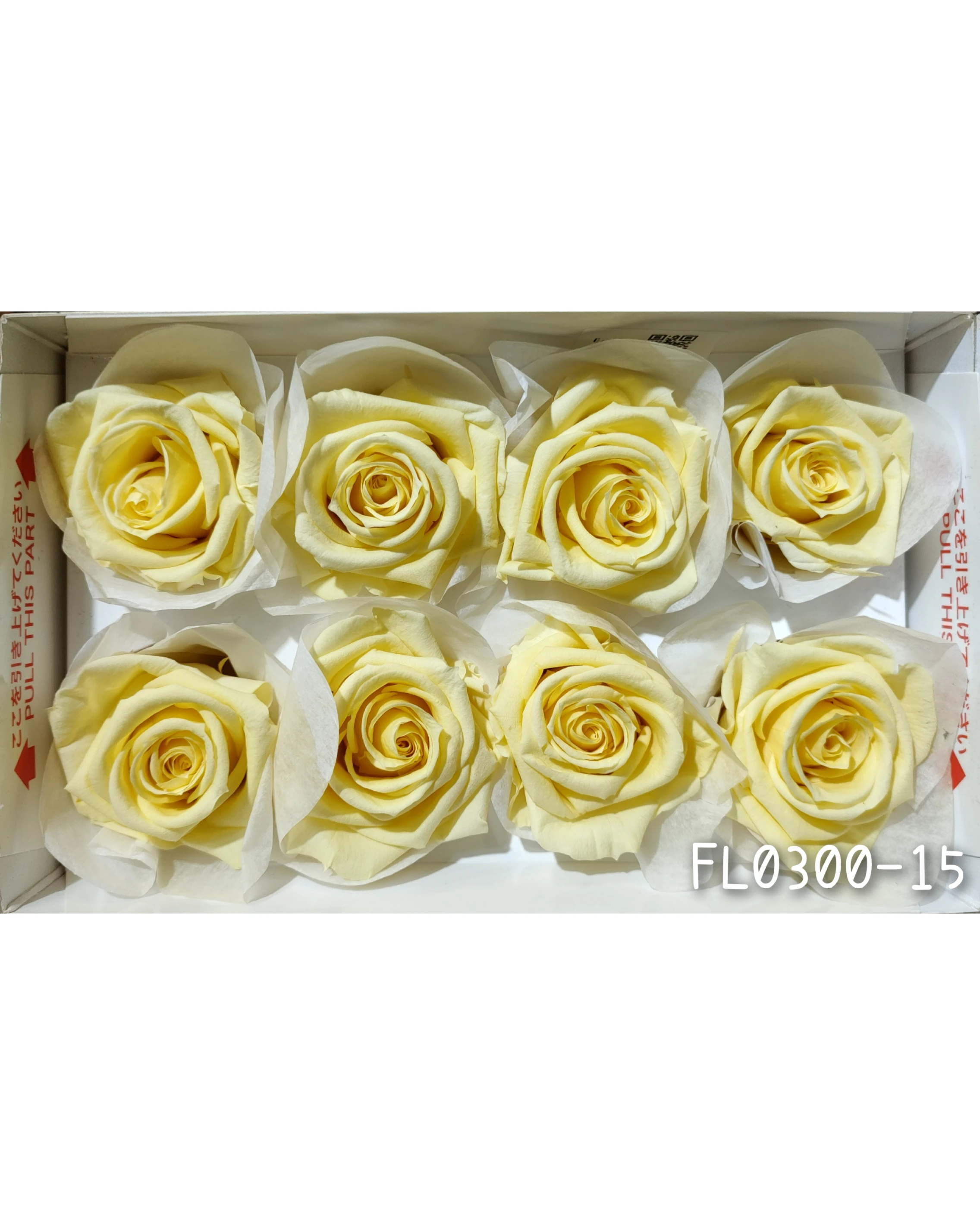 日本Florever 大玫瑰