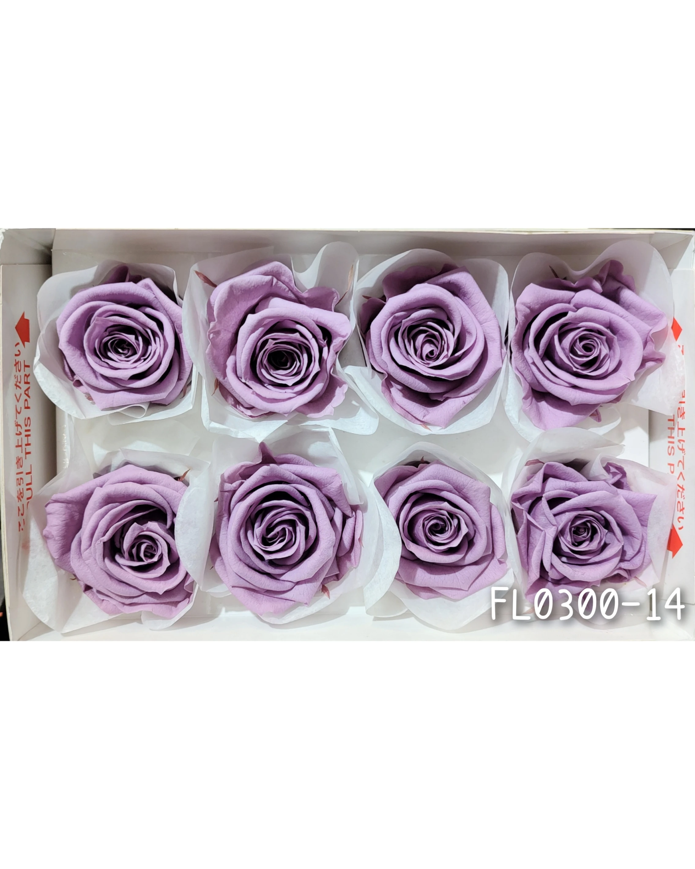日本Florever 大玫瑰