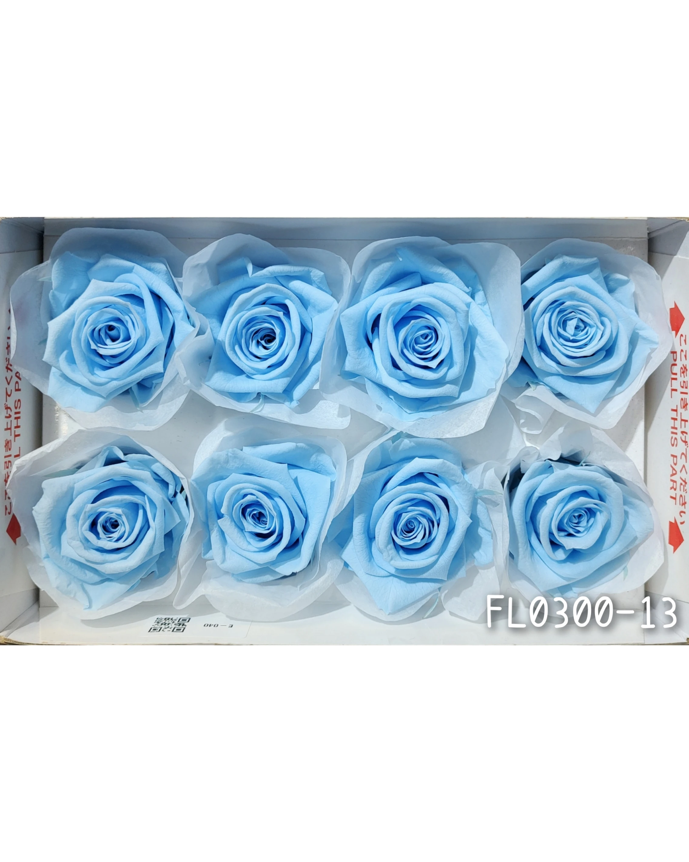 日本Florever 大玫瑰