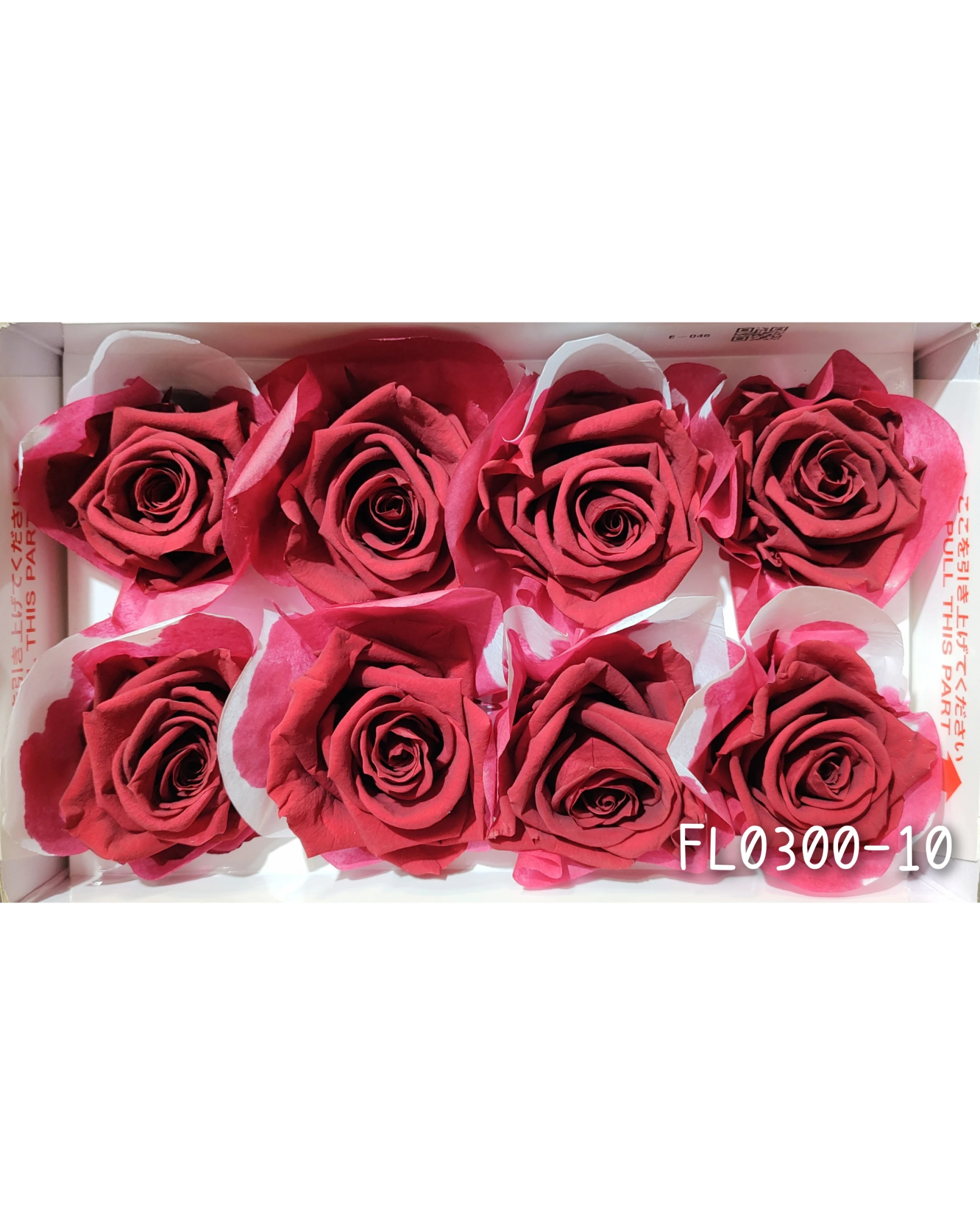 日本Florever 大玫瑰