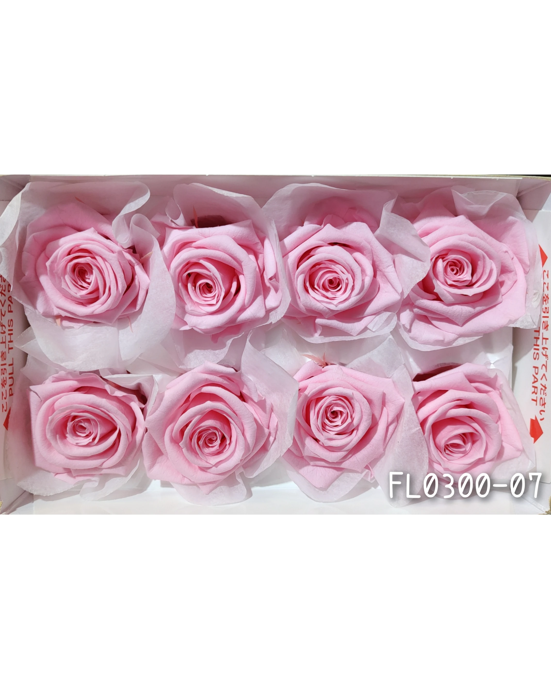 日本Florever 大玫瑰