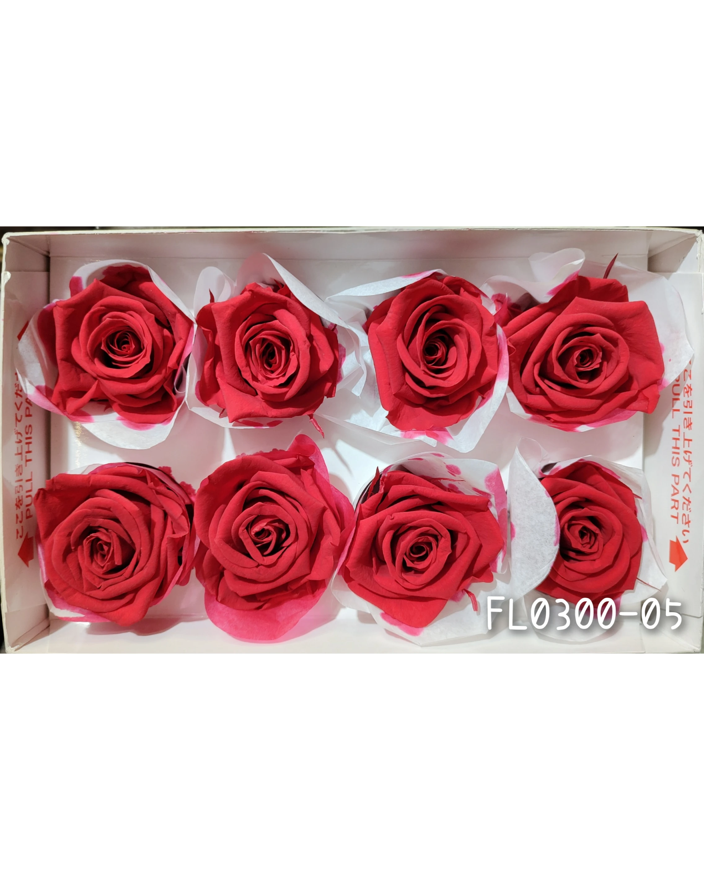 日本Florever 大玫瑰