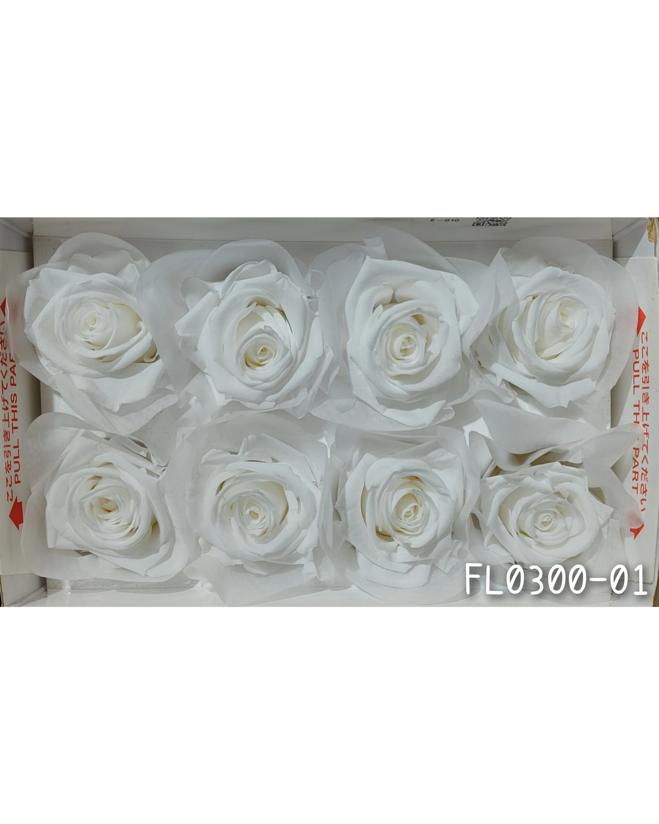 日本Florever 大玫瑰