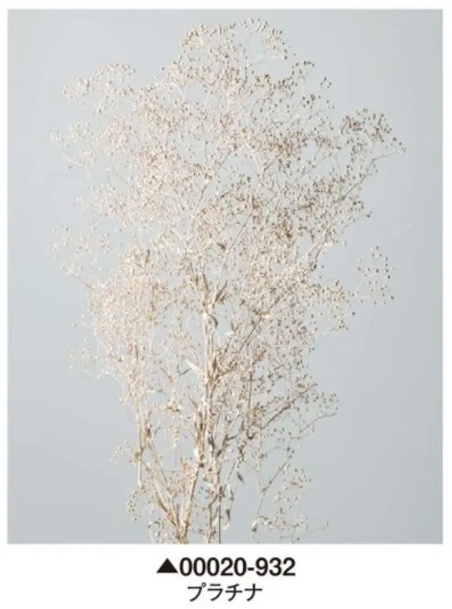 日本大地農園 永生特級迷你滿天星 鉑金 